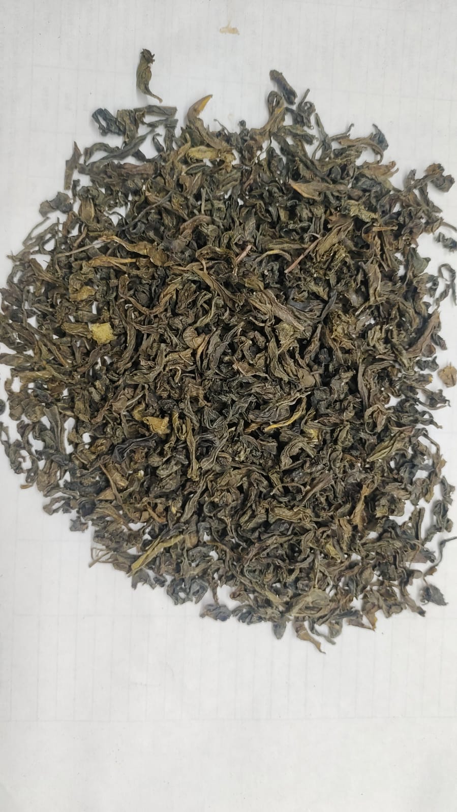 Assam green tea Lachha-1 — rolled green leaf