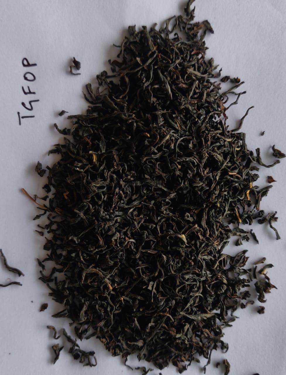 Assam Orthodox TGFOP whole-leaf tea